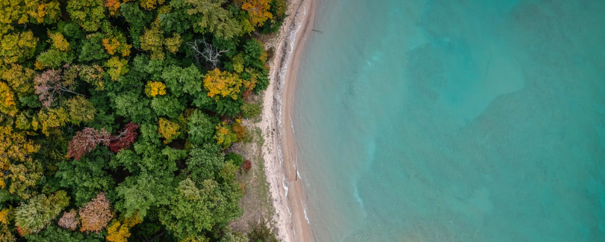 services-02 Services 02